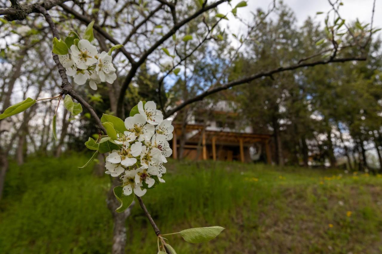 Egercottages - Csillag Cottage 外观 照片