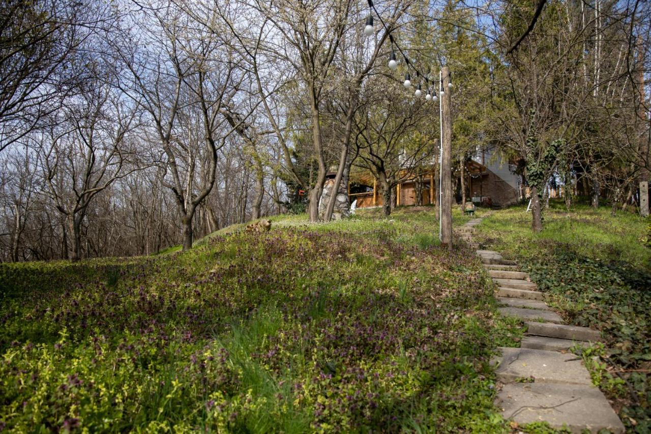 Egercottages - Csillag Cottage 外观 照片